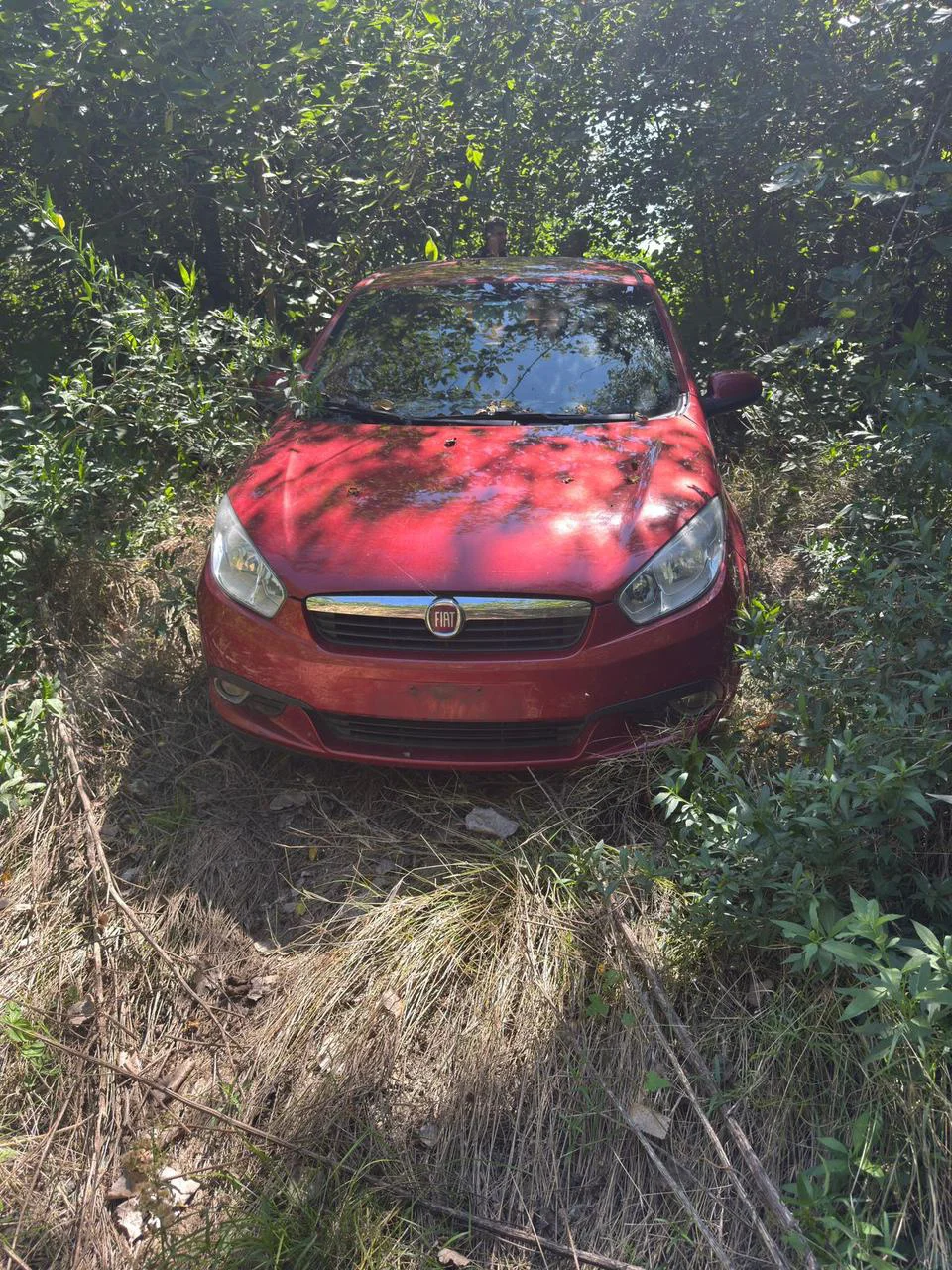 WhatsApp Image 2026-04-01 at 8.02.28 AM